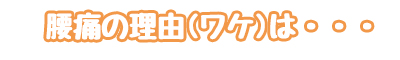 腰痛の理由(ワケ)は・・・